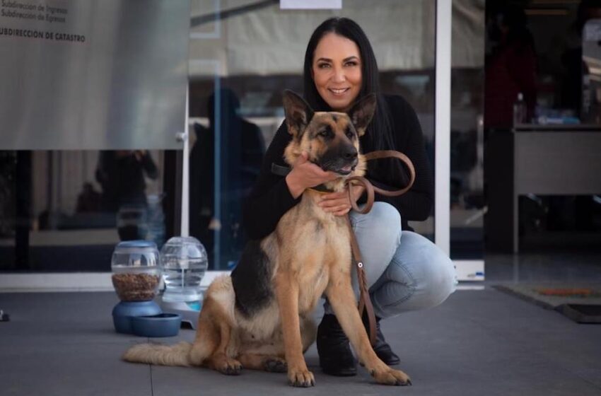  EN METEPEC VELAMOS POR EL BIENESTAR ANIMAL: GABY GAMBOA