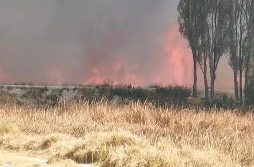  DESCUIDOS PROVOCAN INCREMENTO DE INCENDIOS FORESTALES EN LA ENTIDAD