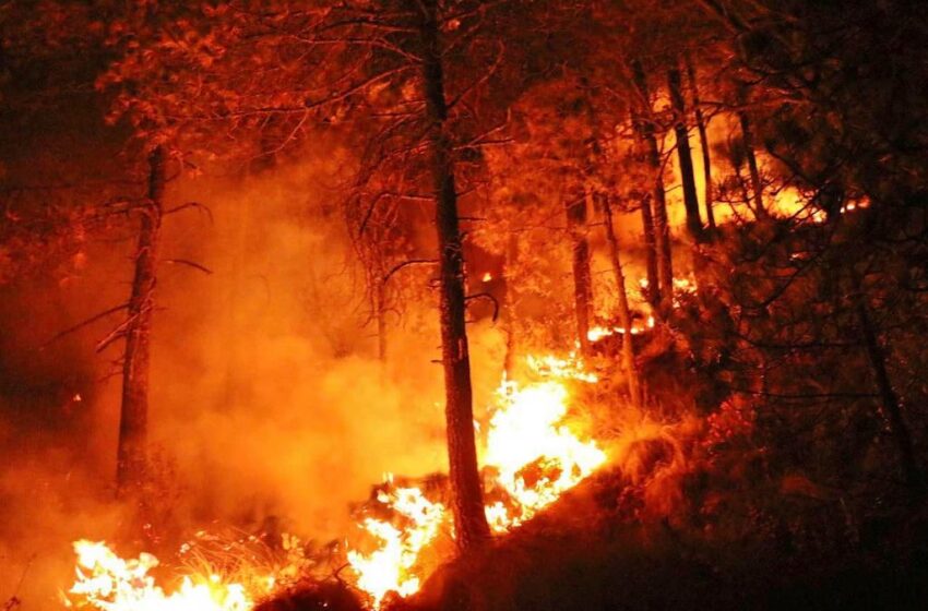  GENTE IRRESPONSABLE PROVOCA FUERTE INCENDIO EN EL CERRO “XOCOTÉPETL” EN JOCOTITLÁN