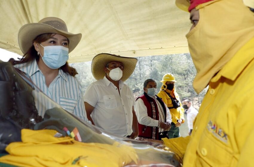  BRINDA GEM EQUIPO ESPECIALIZADO A COMBATIENTES DE INCENDIOS FORESTALES DE PROBOSQUE