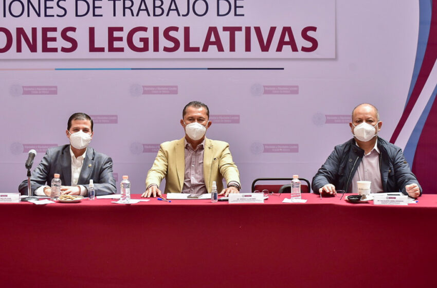  SERÁ CONSTITUCIONAL EL MANDATO DE TRANSPARENTAR GASTO PÚBLICO EN EDOMEX