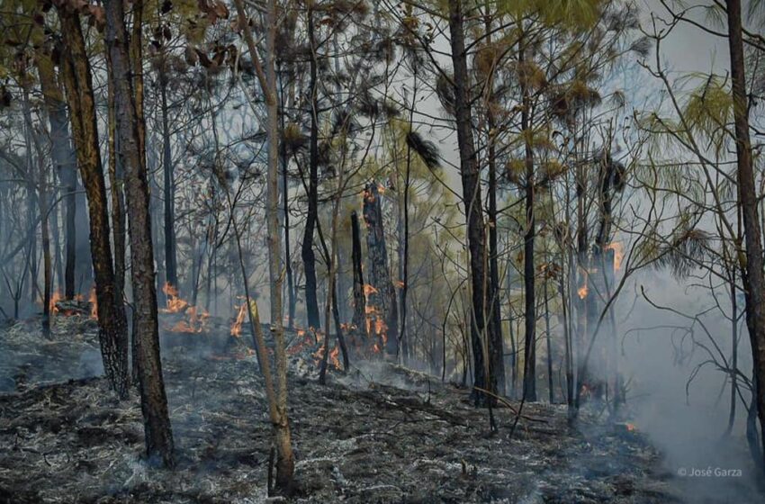  ARRASA FUEGO CON CERRO DE SANTA TERESA TILOXTOC EN VALLE DE BRAVO