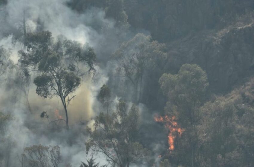  INCENDIO EN EL CERRO DE LA TERESONA