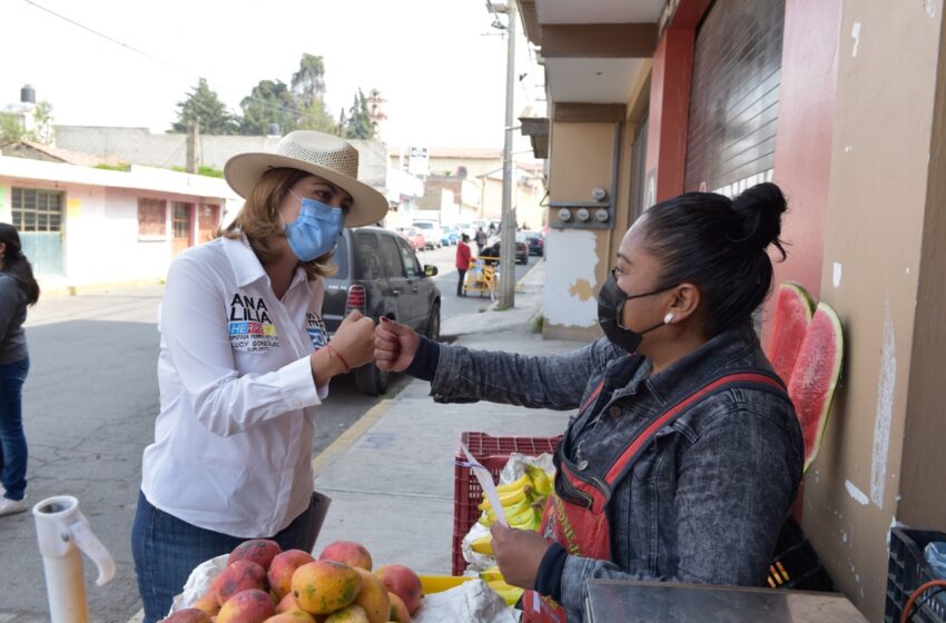  FAMILIAS MEXICANAS HAN SIDO DURAMENTE GOLPEADAS POR EL GOBIERNO FEDERAL: ANA LILIA HERRERA