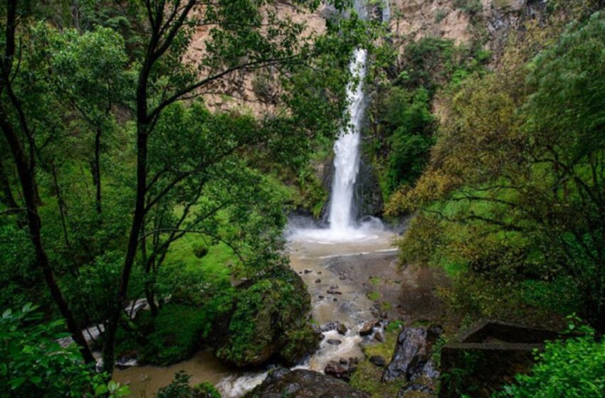  INCREMENTA A 50 POR CIENTO AFORO DE VISITANTES EN PARQUES, ÁREAS NATURALES PROTEGIDAS Y ZOOLÓGICOS DE LA ENTIDAD