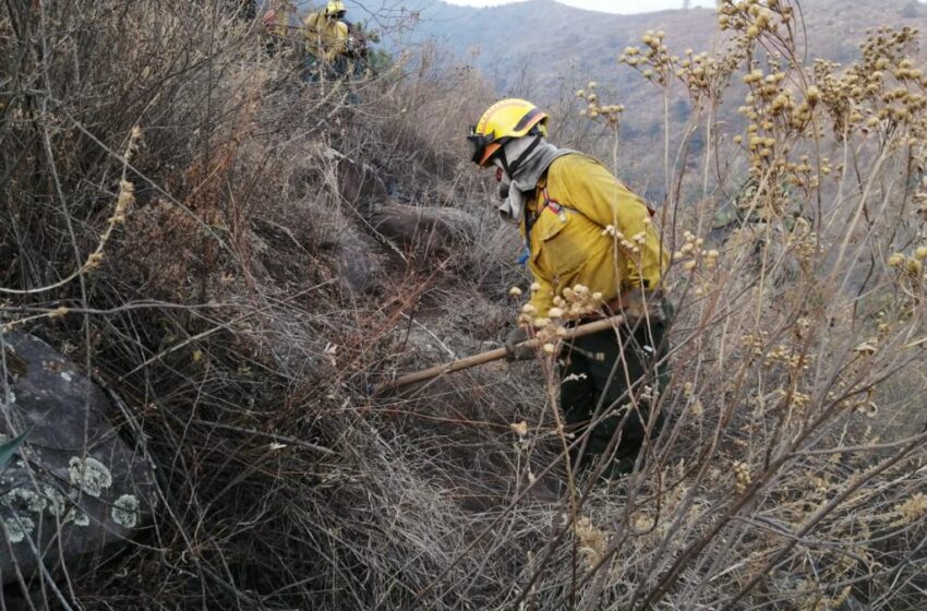  LIQUIDAN EN UNA ACCIÓN CONJUNTA INCENDIO FORESTAL EN PARQUE ESTATAL SIERRA DE GUADALUPE