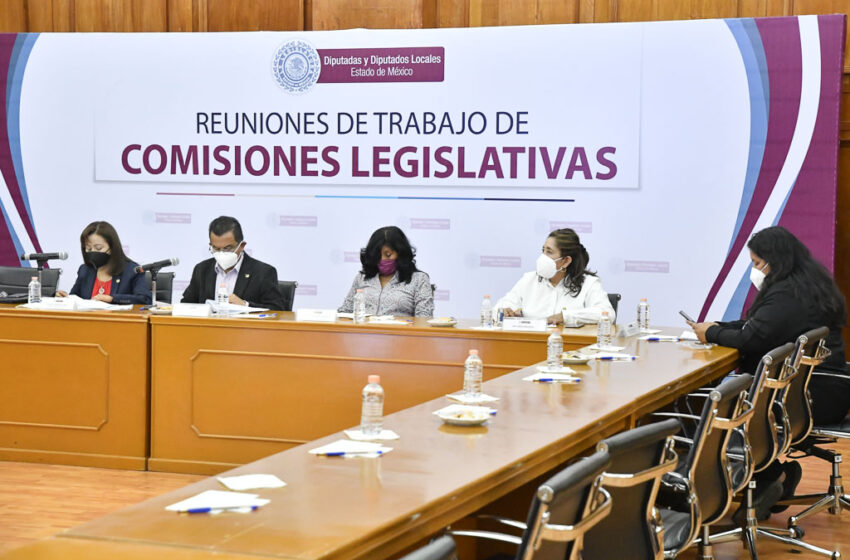 LEGISLAN PARA INDUSTRIALIZAR EL MAGUEY