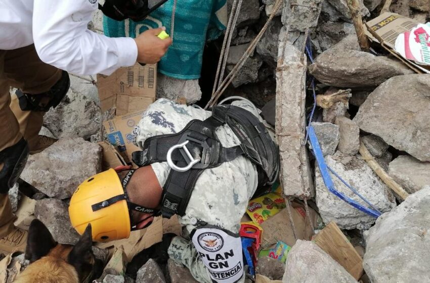  TRAS 260 HORAS DE BÚSQUEDA RESCATAN LOS CUERPOS DE UN NIÑO Y UNA MUJER EN EL CERRO DEL CHIQUIHUITE