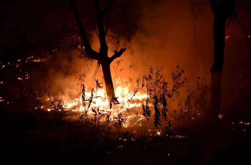  VAN 60 INCENDIOS FORESTALES DURANTE VACACIONES DE SEMANA SANTA