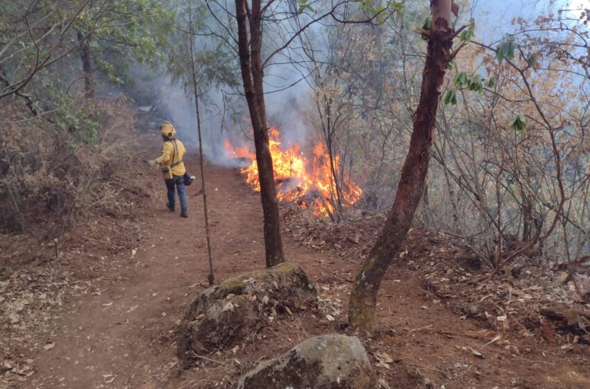  LIQUIDAN INCENDIOS FORESTALES EN ZONA COMUNAL DE OCUILAN