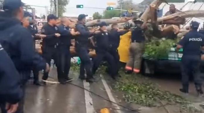  EN ECATEPEC CAE ÁRBOL SOBRE AUTOMÓVIL OCASIONANDO LA MUERTE DEL CONDUCTOR
