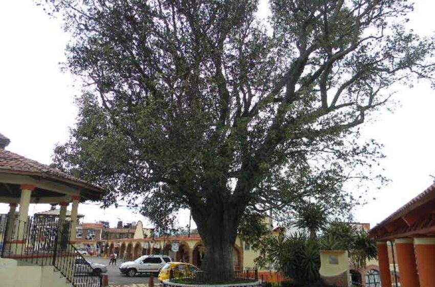  AYAPANGO EL PUEBLO CON ENCANTO QUE DEBES CONOCER