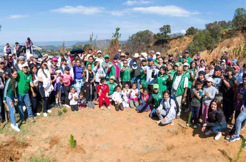  ARRANCA PVEM MEGA REFORESTACIÓN VERDE EN EL NORTE DEL EDOMEX