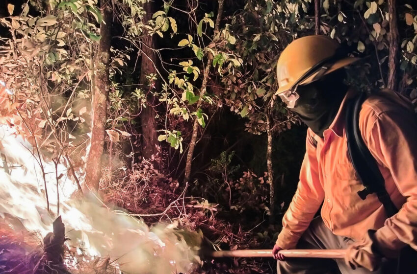  SE SUMAN 154 BRIGADISTAS PARA COMBATIR INCENDIOS EN VALLE DE BRAVO
