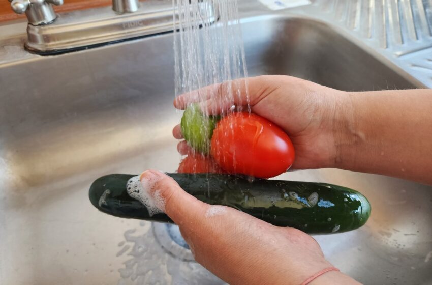 EN VERANO SE RELAJAN HÁBITOS DE HIGIENE Y AUMENTAN ENFERMEDADES