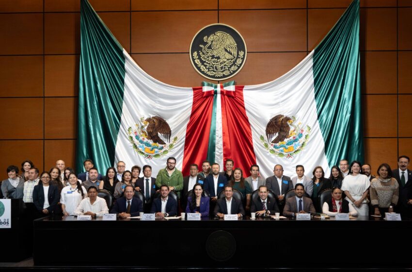  GESTIONA PEPE COUTTOLENC EN SAN LÁZARO PRESUPUESTO PARA ALCALDES ELECTOS VERDES