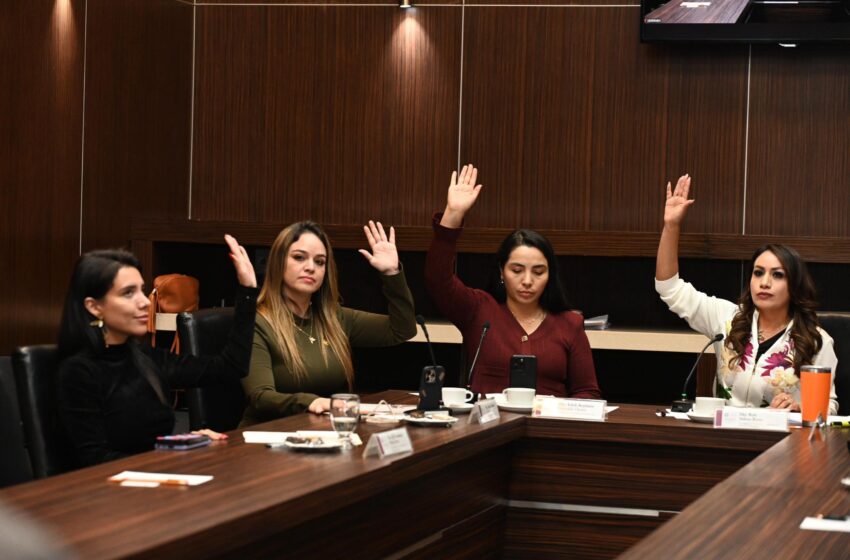 Aprueba comisión legislativa terna para elegir a titular de la #CODHEM.