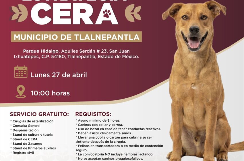 En Tlanepantla servicios gratuitos veterinarios con Estrategia CERA ¡Lleva a tu lomito o michi!