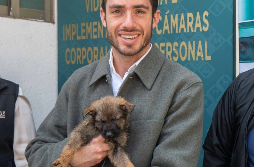  Hasta 15 años de prisión por maltrato animal en Edoméx; PVEM impulsa este avance en nueva ley