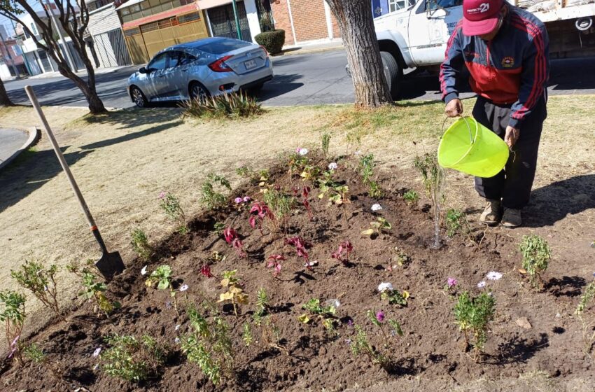  Toluca apuesta por reconectar la ciudad con la naturaleza