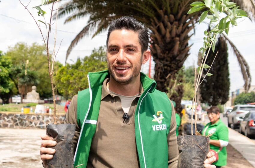  PLANTARÁ EL PVEM EDOMEX 250 MIL ÁRBOLES  DURANTE LA GIRA «UN VOTO,  UN ÁRBOL»