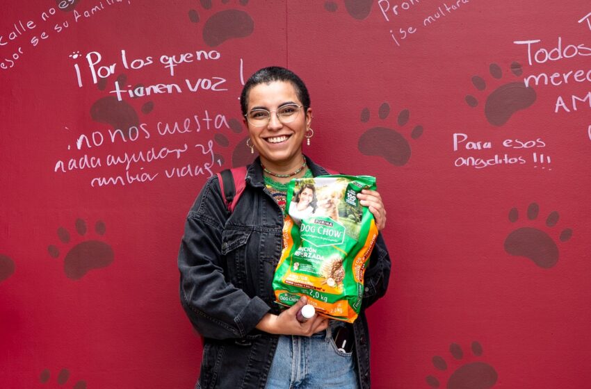  ¡Súmate a la Croquetmanía! El Gobierno del EdoMéx convoca a la ciudadanía a donar alimento y artículos de cuidado para lomitos y michis, en 13 centros de acopio