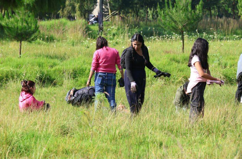  Miles de manos toluqueñas plantan 15 mil árboles y plantas