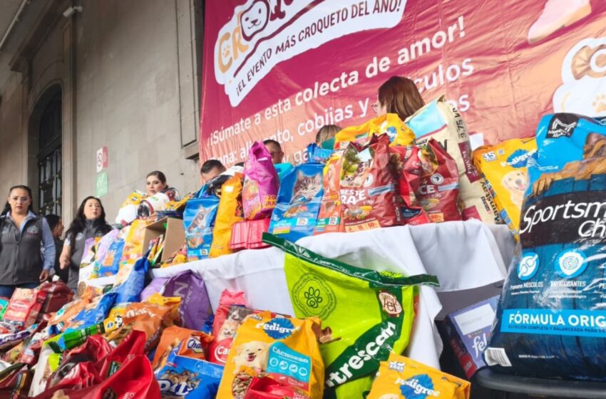 Amplían colecta de la campaña “Croquetmanía” hasta el 31 de julio para transformar vidas de lomitos y michis