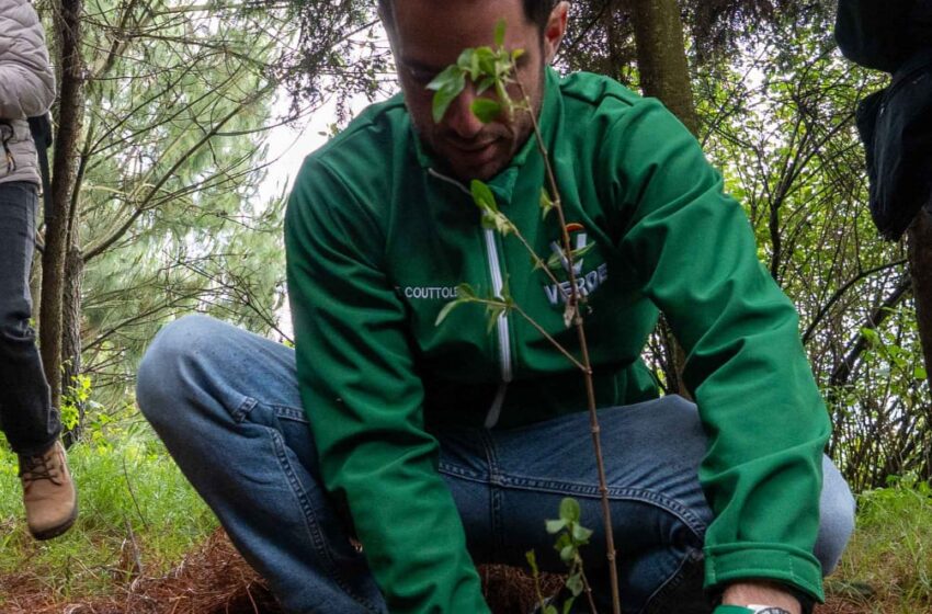  PVEM cumple meta anual de reforestación con gira «Un Voto, Un Árbol»