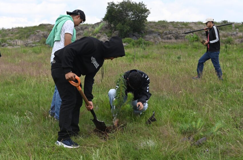  Con jornada “Regresa a Clases Plantando un Árbol”, Gobierno del EdoMéx invita a la comunidad escolar a recuperar sus áreas verdes
