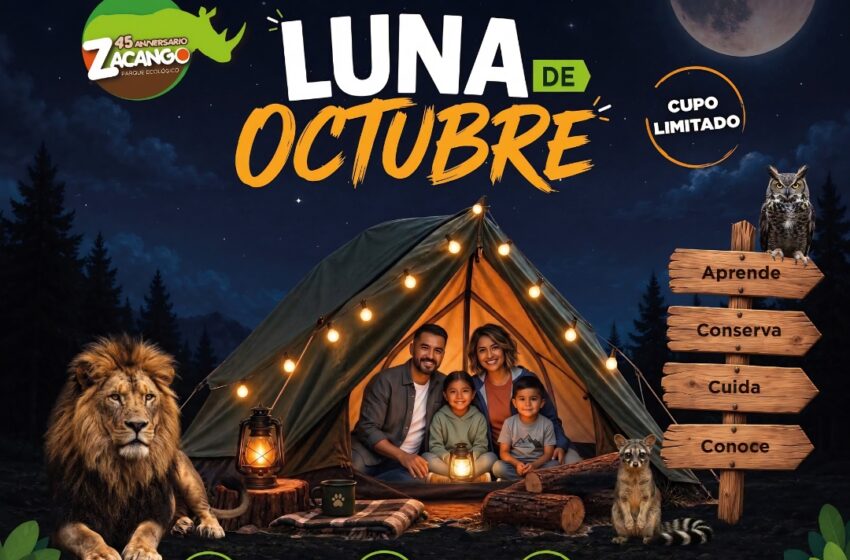  ¡Vive una noche de aventura en Zacango! Acampa y aprende sobre la naturaleza y la vida silvestre